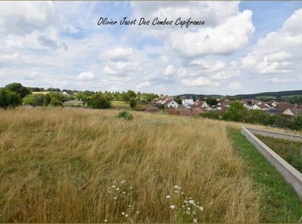 CHATENOIS LES FORGES, Franche-Comté 90700