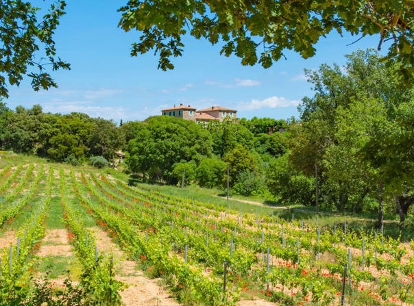 Brue-Auriac, Provence-Alpes-Côte-d'Azur 83119