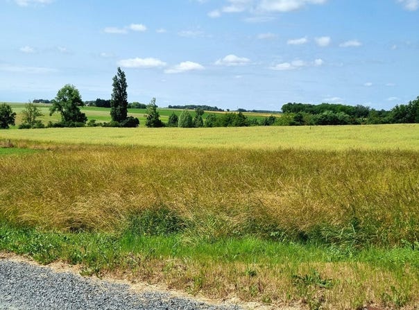 Varennes, Centre-Val de Loire 37600
