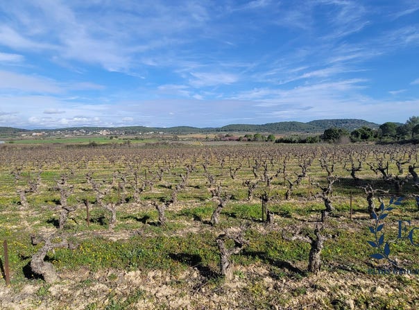 Congénies, Occitanie 30111