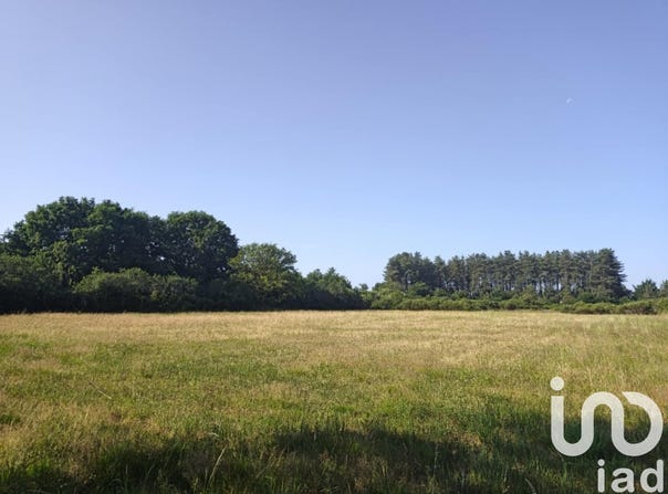 Ouzouer sur Loire, Centre-Val de Loire 45570