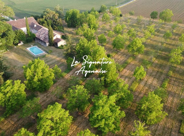 Nérac, Aquitaine 47600