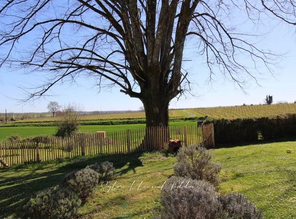 Montendre, Charente-Maritime 17130