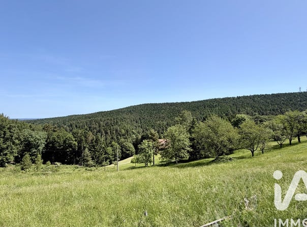 Dabo, Grand Est 57850