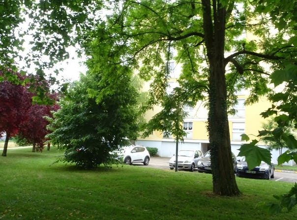 Chevigny-Saint-Sauveur, Côte-d'Or 21800