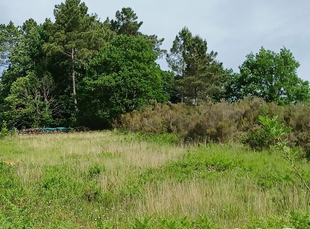 Tamniès, Nouvelle-Aquitaine 24620
