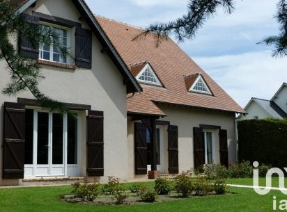 Saint-Denis-de-l'Hôtel, Centre-Val de Loire 45550