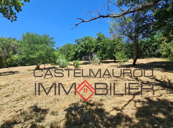 Rouffiac-Tolosan, Haute-Garonne 31180