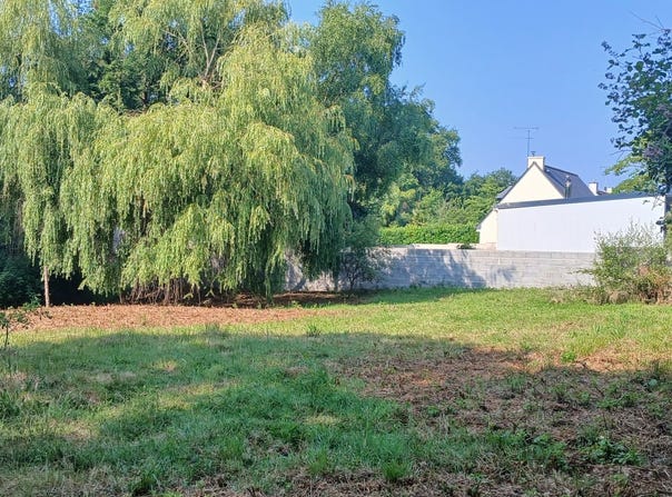 Saint-Nicolas-de-Redon, Pays de la Loire 44460