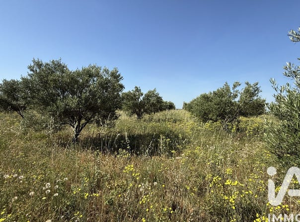 Paulhan, Occitanie 34230