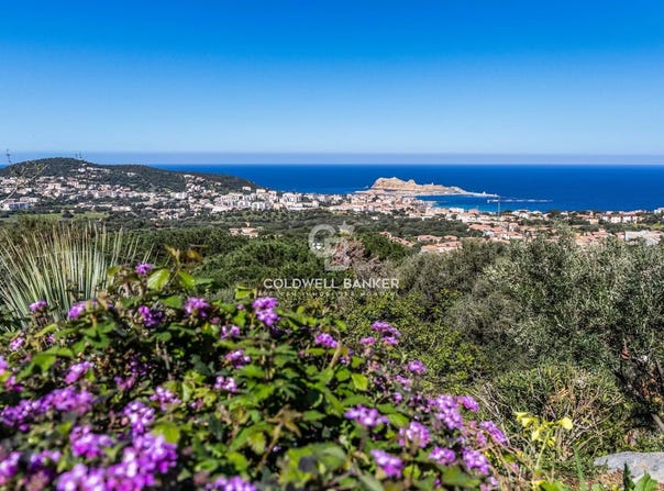 Monticello, Corsica 20220