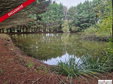 Pipriac, Bretagne 35550