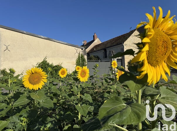Cravant-les-Côteaux, Centre-Val de Loire 37500