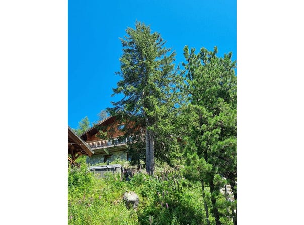 Mâcot-la-Plagne, Rhône-Alpes 73210