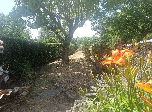 Revel, Haute-Garonne 31250