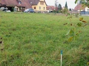 Westhoffen, Alsace 67310