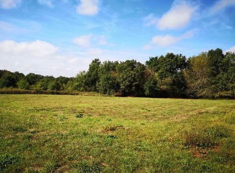 Saint-Romain-De-Monpazier, Aquitaine 24540