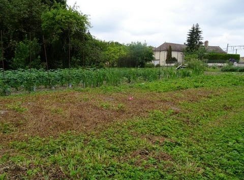 Fontaines, Bourgogne 71150