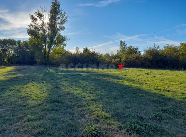 Revel, Haute-Garonne 31250