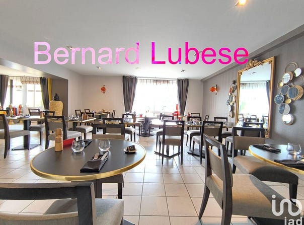 BESSINES-SUR-GARTEMPE, Nouvelle-Aquitaine 87250