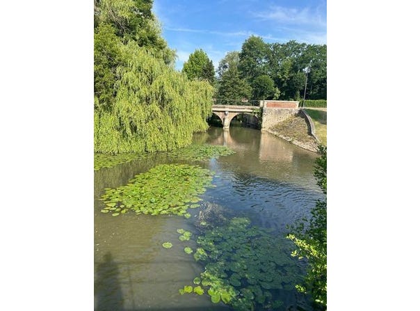 ROGNY LES SEPT ECLUSES, Bourgogne 89220