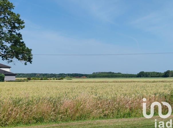 Illies, Hauts-de-France 59480