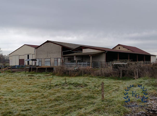 Saint-Germain-Lespinasse, Auvergne-Rhône-Alpes 42640