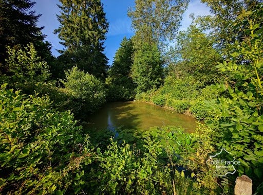 La Meilleraie-Tillay, Pays de la Loire 85700
