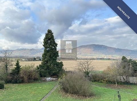 rue Taennchel, Selestat, Alsace 67600