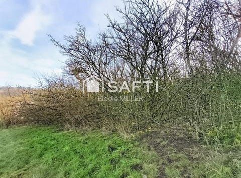 Neuves-Maisons, Lorraine 54230