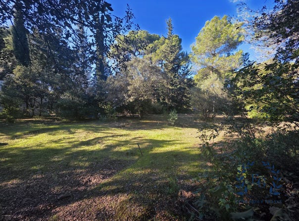 Aubais, Occitanie 30250
