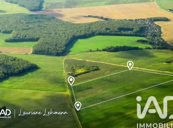 Dole, Bourgogne-Franche-Comté 39100