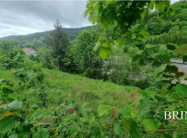 Gérardmer, Vosges 88400