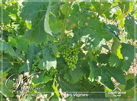 CESSERAS, Languedoc-Roussillon 34210
