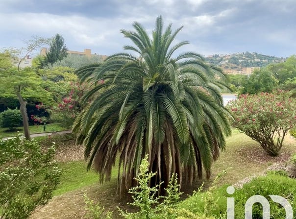 Mandelieu-la-Napoule, Provence-Alpes-Côte d'Azur 06210