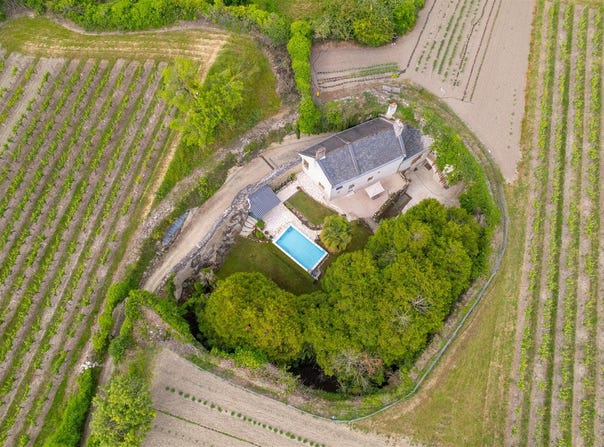 Souzay-Champigny, Pays-de-la-Loire 49400