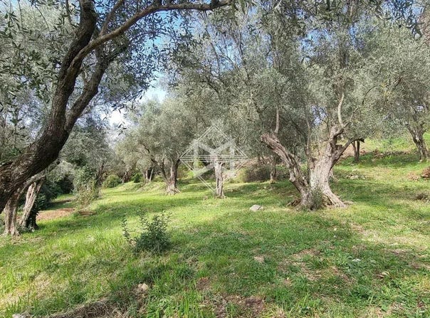 Opio, Provence-Alpes-Côte-d'Azur 06650