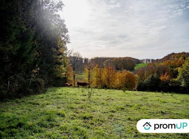 Rouairoux, Occitanie 81240