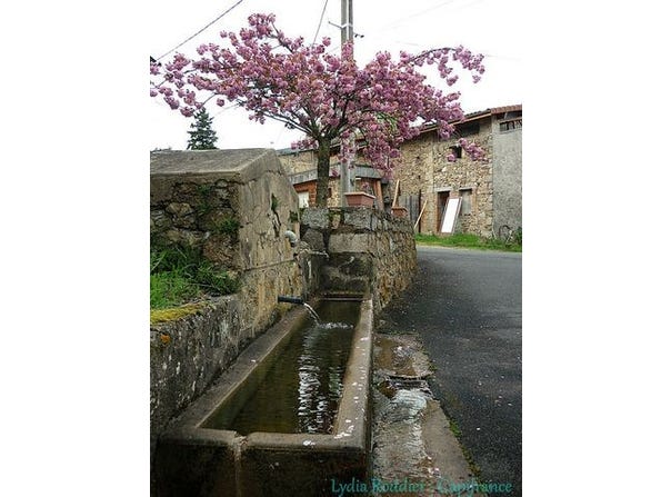 THIERS, Auvergne 63300