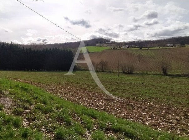 LAUZERTE, Occitanie 82110