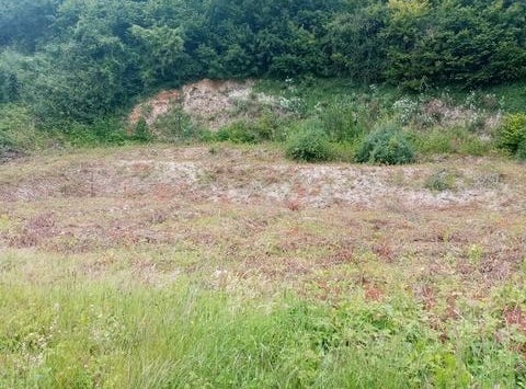 GRAINVILLE LA TEINTURIERE, Haute-Normandie 76450