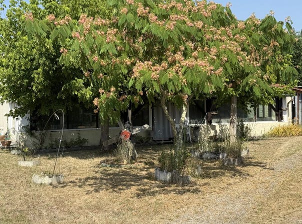 Étauliers, Gironde 33820