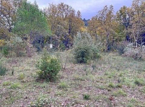 Neoules, Provence-Alpes-Côte d'Azur 83136