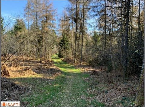 Le Tholy, Lorraine 88530