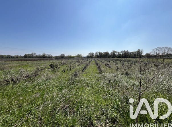 Codolet, Occitanie 30200