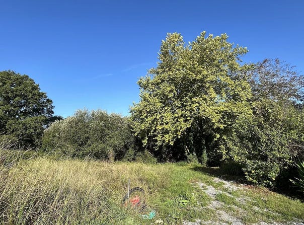 Saint-André-de-Seignanx, Landes 40390