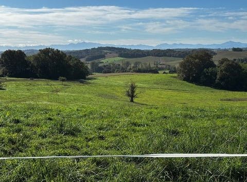 ORTHEZ, Aquitaine 64300