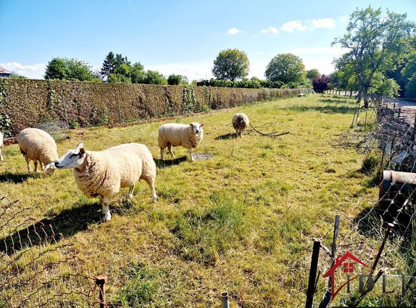 Fayl-Billot, Grand Est 52500