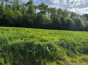 MONTREUIL SOUS PEROUSE, Bretagne 35500