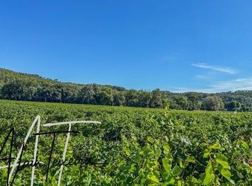 Le Thoronet, Provence-Alpes-Côte d'Azur 83340